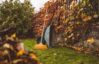Garten winterfest machen: Diese drei Dinge solltet ihr im Herbst unbedingt erledigen