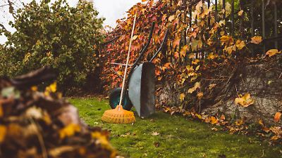 Garten winterfest machen: Diese drei Dinge solltet ihr im Herbst unbedingt erledigen Garten winterfest machen: Diese drei Dinge solltet ihr im Herbst unbedingt erledigen